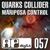 Mariposa de Obsidiana - Quarks Collider