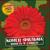 Враг не дремлет - Конец фильма