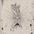 Now Come Closer - Ancient Methods