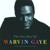 I Heard It Through the Grapevine - Marvin Gaye