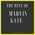 Let Your Conscience Be Your Guide - Marvin Gaye
