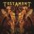 Riding the Snake - Testament