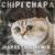 Chipi-Chipi-Chapa-Chapa - PlayArrow