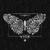 Butterfly - Darom Dabro