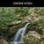 Весна в лесу - Пение птиц