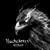Wasting No More Time - Buckcherry