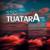 SSC Tuatara - Линник