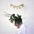 Roses - Chris LaRocca