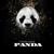 Panda (Remix) - Designer