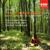 Concerto No. 2 in G minor (L'estate/ Summer) RV315 (Op. 8 No. 2): II.  Adagio - Anne-Sophie Mutter