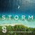 Clocks - Ian Storm