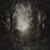 The Leper Affinity - Opeth