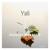 Autumn Weekend - YALI