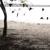 On Every Page - The Tallest Man On Earth