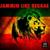 Daniel - Rastaman VIbration