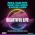 Beautiful Life (Shine Ibiza Anthem 2023) - Marc van Linden