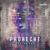 Repeater - Prohecht