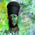 Polluting the System - Jah Mason
