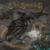 A Past and Future Secret - Blind Guardian