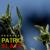 Dont Stop - Patrick Slate