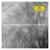 Richter: Iconography - Max Richter