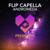 Andromeda - Flip Capella