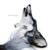 Never - Emarosa