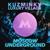 Moscow Underground - Kuzminky Luxury Village