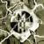 The Declaration - Machine Head
