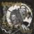 Drowning - Awakening Sun