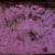 Bells Ring - Mazzy Star