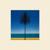 Corinne - Metronomy