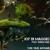 This Time Around - Joy Di Maggio