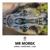 Jungle - Mr Morek