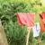 Salto al Vacío - Linda Linda
