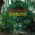 Only One - Richard Keith & The Occasional Playboys