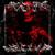 BROKEN SPIRIT - Mupp