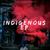 Indigenous - Sonique Infusoul