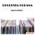 The Terry - Orquesta Cubana