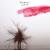 Lifetime Theme - Kito Jempere
