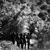 Dry - The Eagle Rock Gospel Singers