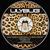 House Cat - Sam Hudson