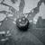 Amplifier - Manafest