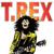 Cosmic Dancer (1971 Radio Session) - T. Rex