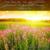 Reflections - Relaxation Therapy
