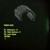 Basiszuur - Dennis Quin