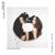 Captivity - Giolì & Assia