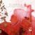 Der Engel Lied - Santec Music Orchestra