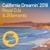 California Dreamin' 2018 - 2Elements
