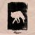 The Wolf - The Spencer Lee Band